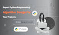 build efficient python scripts, algorithms and custom bots