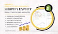 launch your profitable shopify dropshipping store