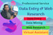 do absolute data entry and web reseach perfectly