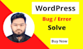 fix wordpress website issues