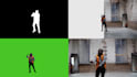 do professional rotoscope,green screen,tracking,roto paint