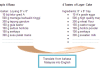 translate bahasa malaysia into english