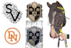 do embroidery digitizing design dst,emb,pes in 1 hour