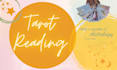 answer any question, using tarot and astrology