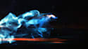 do stunning wolf, horse, lion or panther logo animation