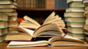 beta read any genre