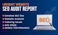 offer urgent website audit report and detailed SEO site for website analytics