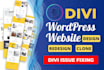 do divi theme customization or design divi website