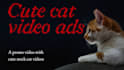 create cute cat video ads for your business
