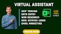 find email lists address, excel data entry, mining, scraping