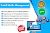 be your social media virtual assistant fb ig tiktok