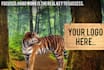 do your logo animation with tiger, custom animation