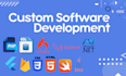 provide custom and  ready made softwares with source code
