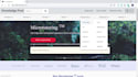 do front end website development using angular 5 6 7 8