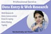 do perfectly data entry and web research work