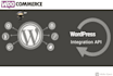 do wordpress woocommerce integration with any API