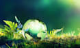 help in environmental science and renewable energy tasks