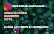 get you your desired instagram username