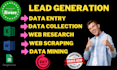 do data scrape, data entry, web research and lead generation