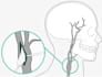 create medical and scientific illustrations