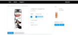build wordpress ecommerce website