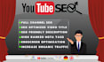 provide professional youtube channel and video SEO