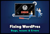 fix any wordpress issue,wordpress bug fixing,fix wordpress errors
