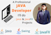 be your java developer for java programming and javafx project