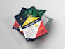 a professional trifold and bifold brochure for you