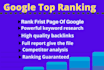 provide full SEO service to get top rank on google