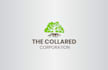 design professional modern business logo