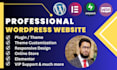 develop a professional wordpress website