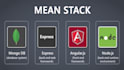 develop mysql, mongodb, express, angular and node mean stack