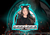 craft professional twitch overlays,logo for your stream