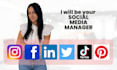 be your social media manager