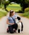 give you expert dog training advice