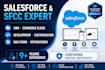 be your salesforce developer and consultant
