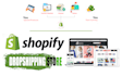 develope aliexpress dropshipping shopify store for business