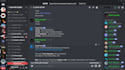 be your discord, twitter or telegram community manager