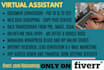 be virtual assistant for all online work wordpress and ecommerce