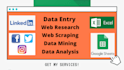 do data entry, web research and manual web scraping