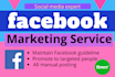 do facebook marketing and promotion for any business