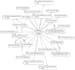do your qualitative analysis with maxqda 2020