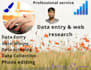 do perfect  data entry and web research accurately