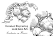 draw any illustration in engraving style