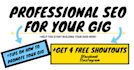 do professional SEO of your gig