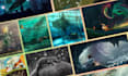 create unique concept art based on your chosen theme