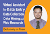 be your virtual assistant for data entry, data mining, copy paste, web research
