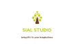 create a professional whiteboard animation