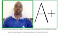 perfectly and professionally write quality essays